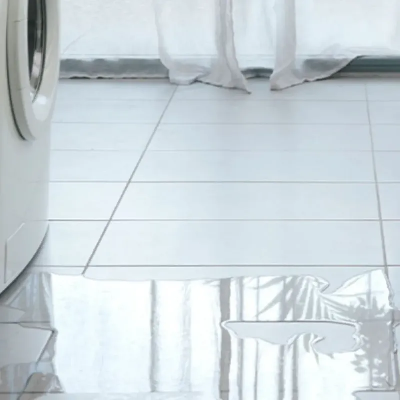 Appliance Leak Cleanup in Brownsville, LA