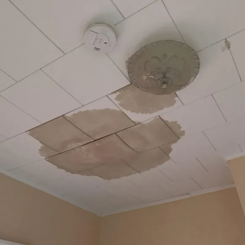 Ceiling Water Damage Repair in Brownsville, LA
