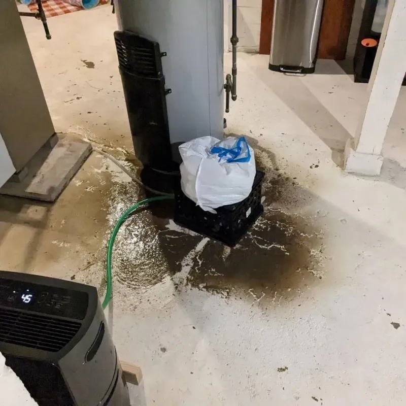 Sewage Backup Cleanup Service in Brownsville, LA